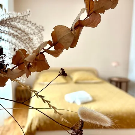 Lucie, 4 A 8 Personnes