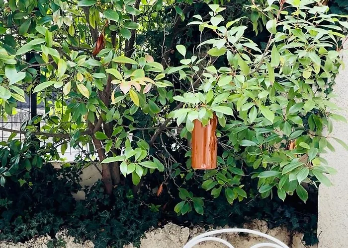 Villa Lucie, 4 A 8 Personnes *